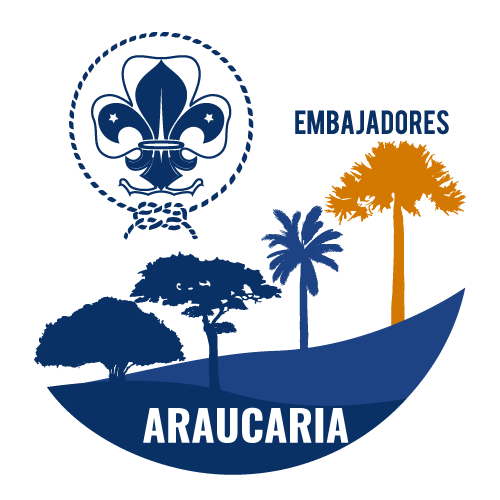 Araucaria Araucaria