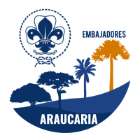 Araucaria
