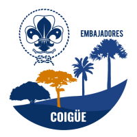 Coigue